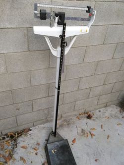 Scale