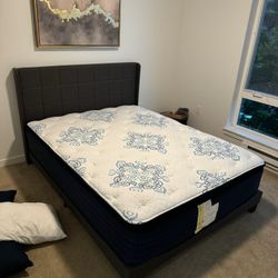 Queen Mattress (Mattress Only)