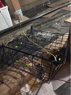 Crab trap