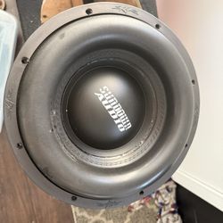 Dual 1 Ohm 12 Inch Subwoofers 