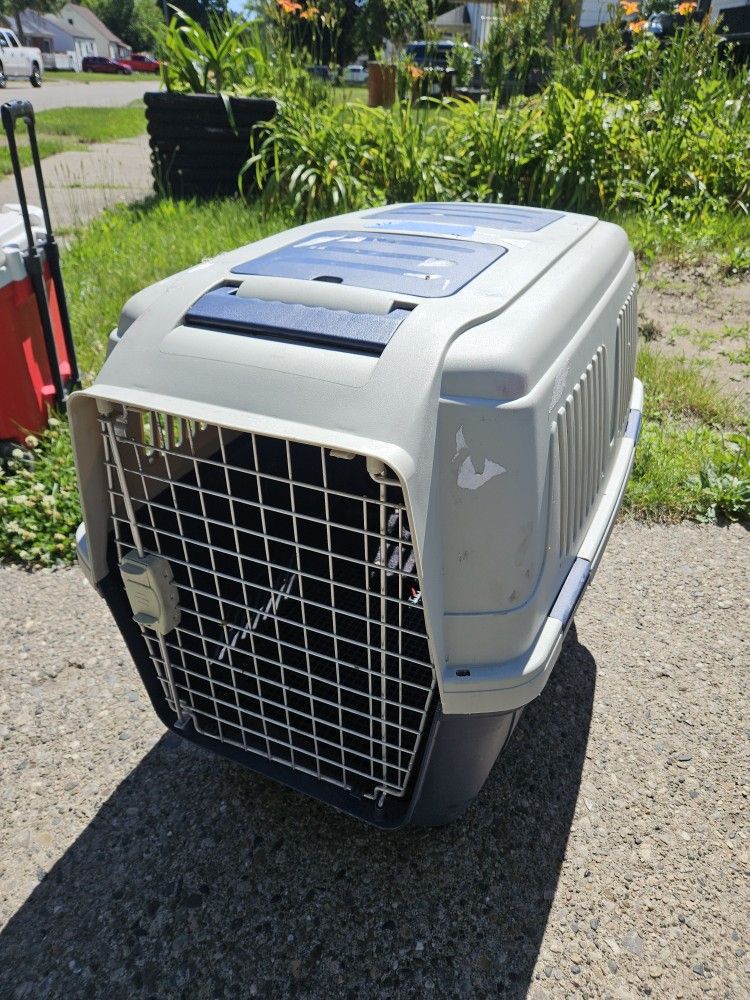 Dog Crate On Wheels