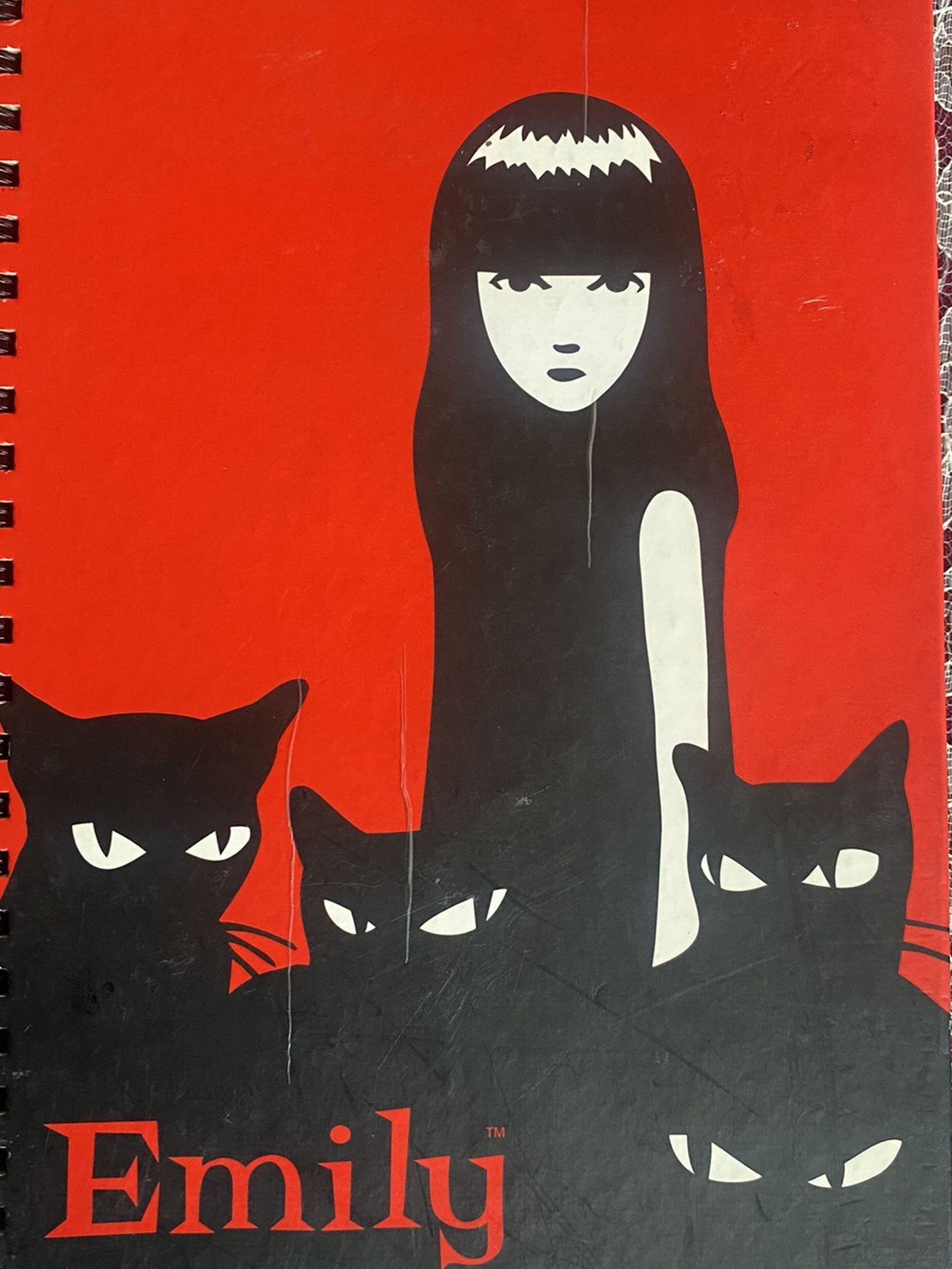 Emily The Strange Spiral Notebook/journal