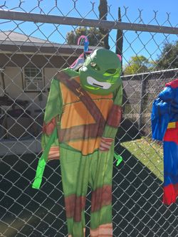 Ninja turtle costume