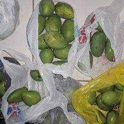 Organic Mangos $1.5 each 
