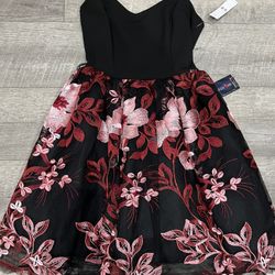 Young Ladies Dress Size 5–6 BRAND NEW WITH TAGS 