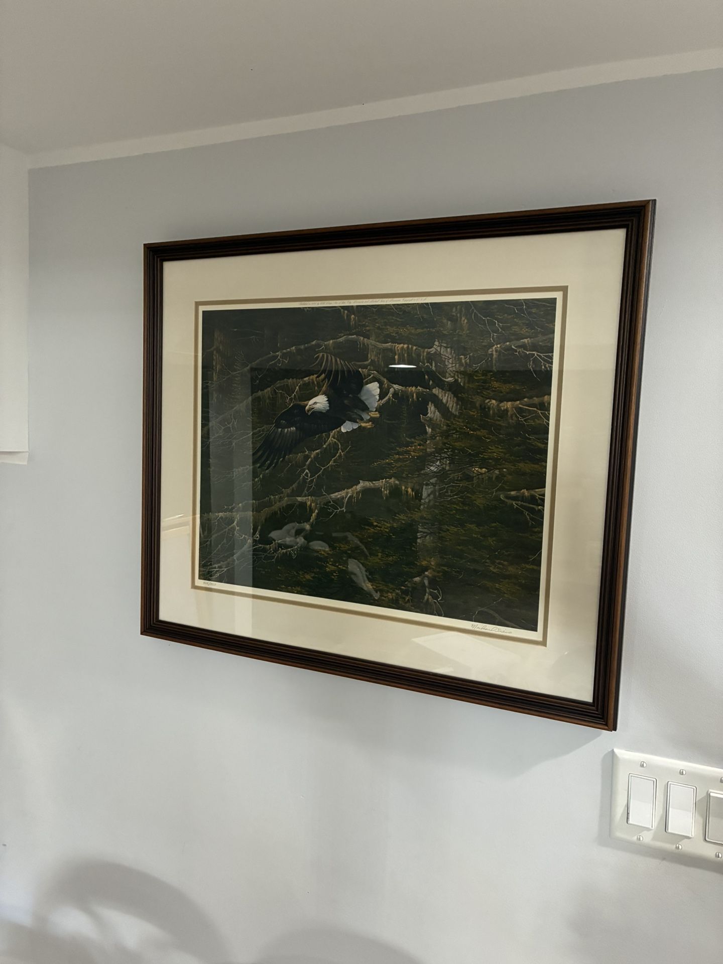 Michael D'Antuono Framed Eagle Art