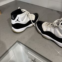 Jordan Retro Concord 2018; LeBron 15s