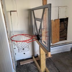 Lifetime Basketball Hoop