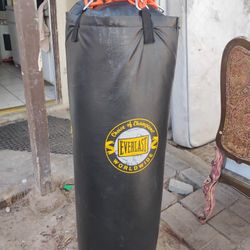 $75 EVERLAST HEAVY BAG