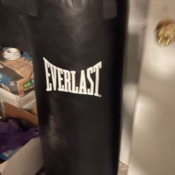 Punching bag 