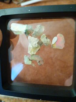 opals