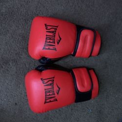 Everlast Boxing Gloves