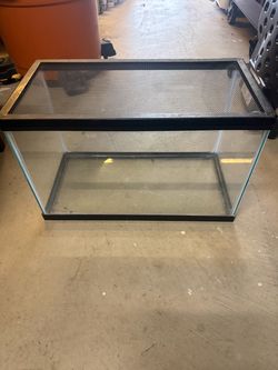 10 gallon tank