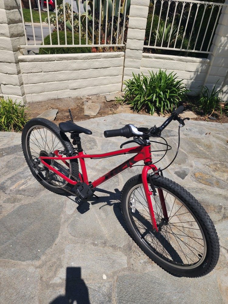 Trek Caliber 24"