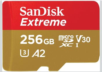256gb Micro SDXC Card.
