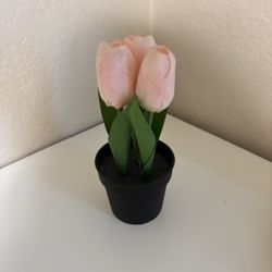 Plastic Flowers 