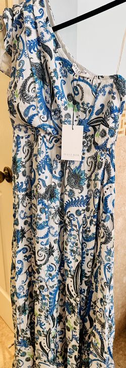 Paisley Blue Gown