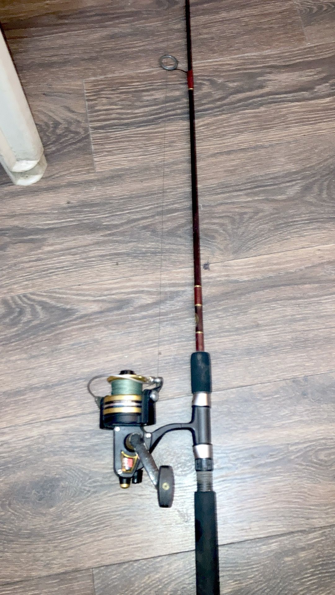 PENN 5500 SS ROD AND REEL