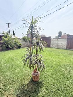 Fake trees