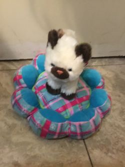 American Girl Doll Pet Cat And Bed From American Girl Store