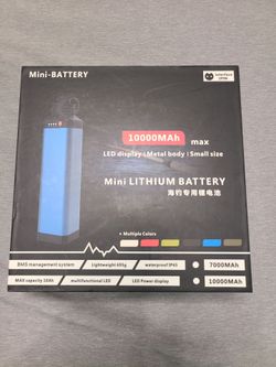 Mini battery for fishing rod