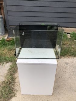 Salt Water Fish Tank