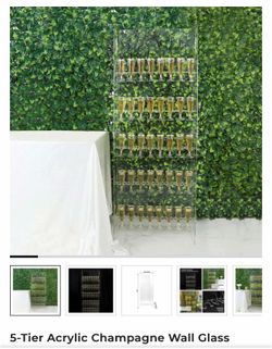 5 tier acrylic champagne wall glass