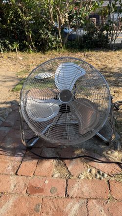 Fan