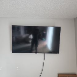 50" Roku Integrated Smart Tv.