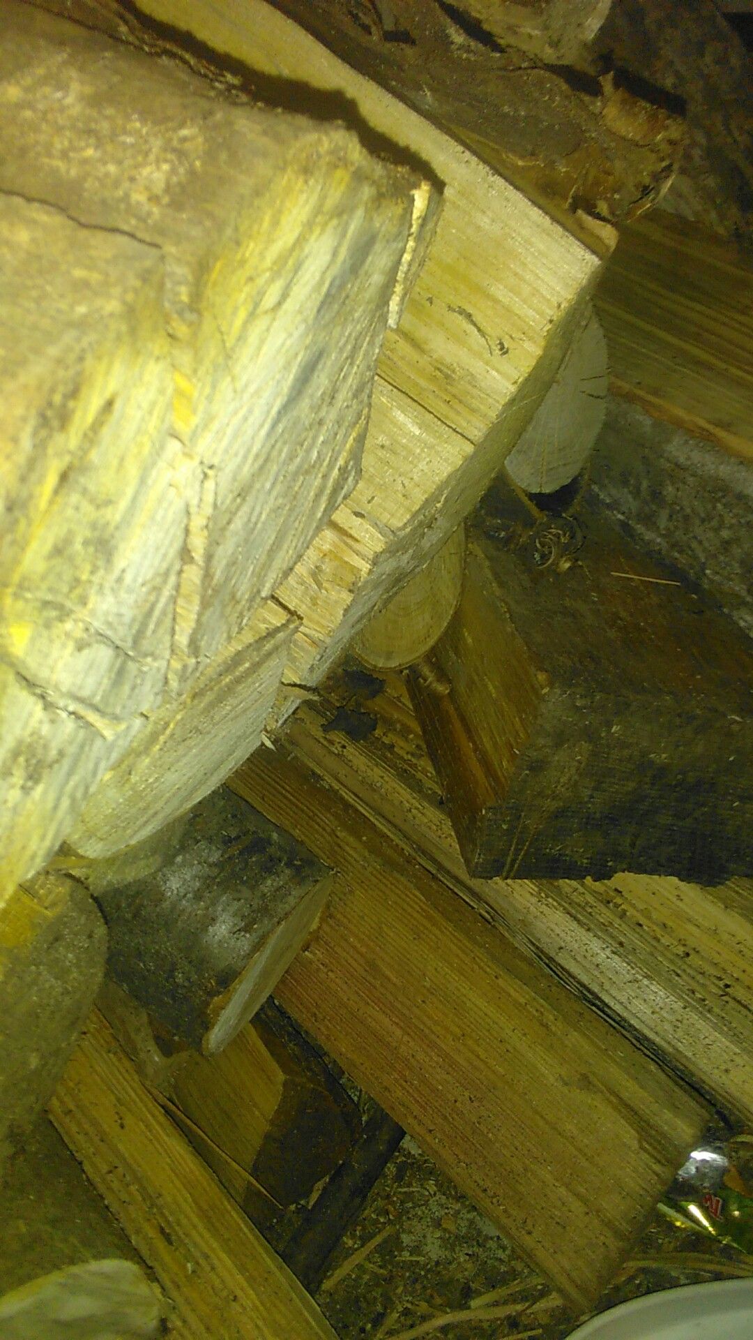 Firewood 175 a cord