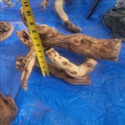 Natural Driftwood Piece for Aquarium or Decor