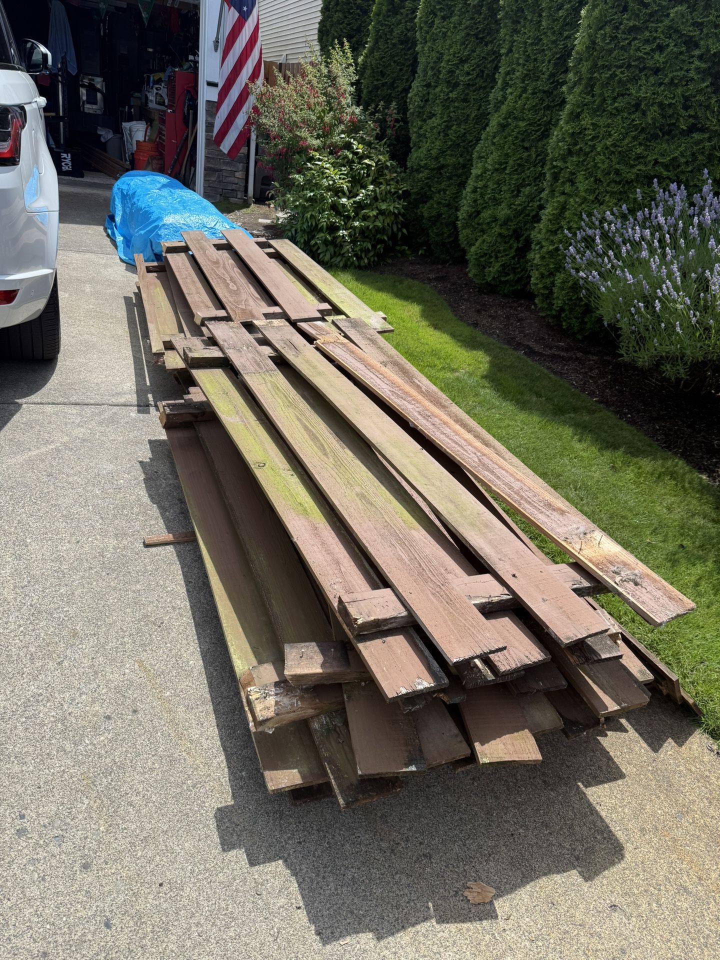 Free Old Cedar Fencing