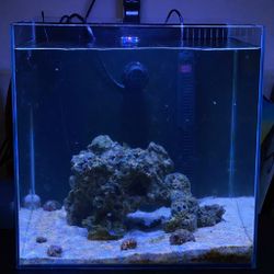 20G Nano Rimless Glass Tank