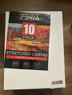 NEW 10 canvases 12” x 16”