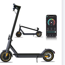 Electric Scooter 500w (Phone Holder And Helmet inc.)