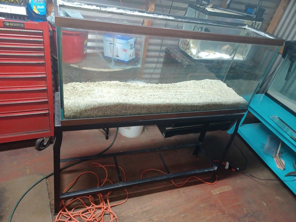55gal Aquarium With Stand