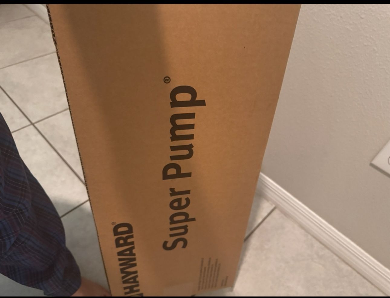 Hayward Super Pump