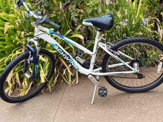 24” tires - Schwinn Ranger Mountain Bike