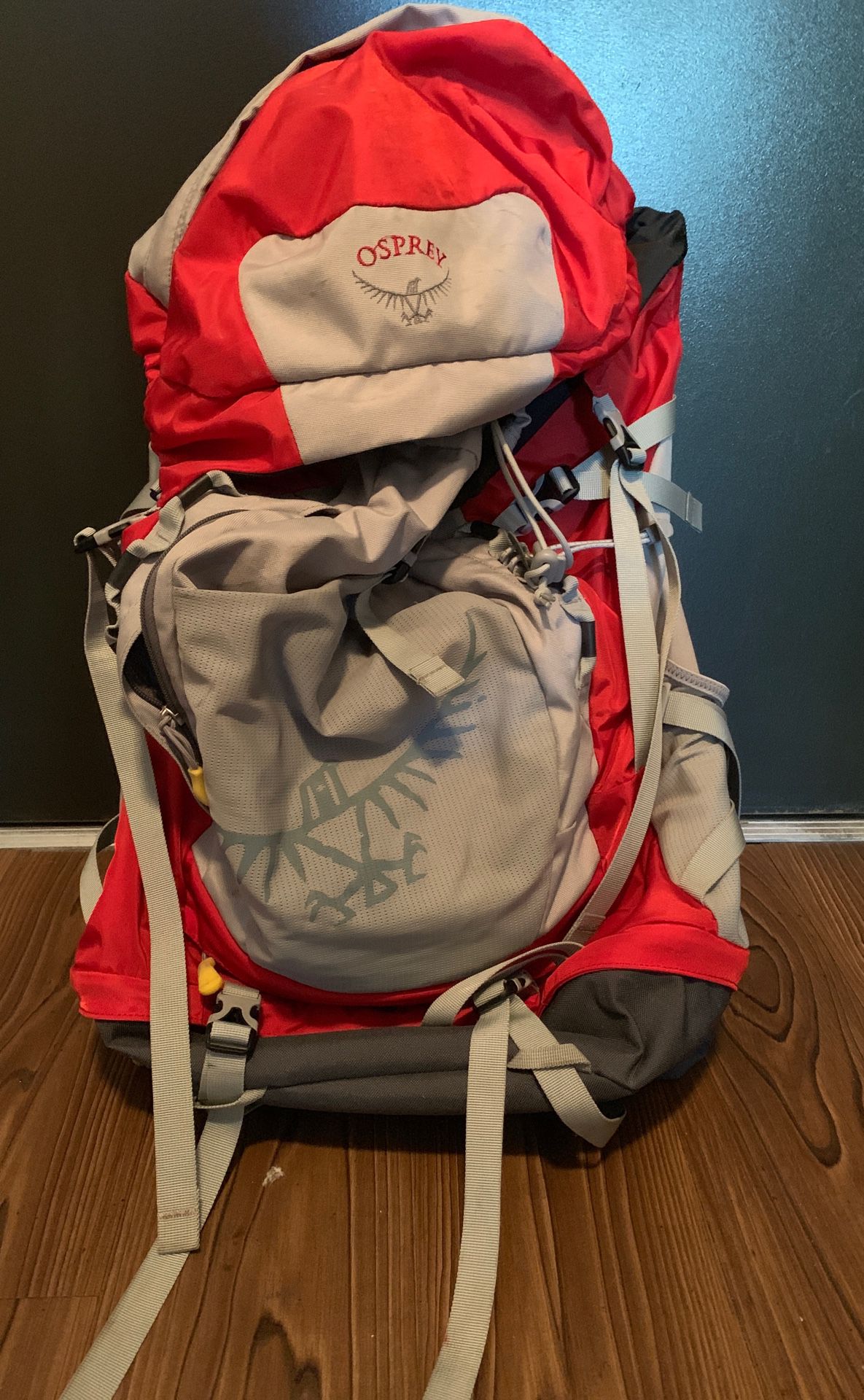 Osprey Ace 48 backpack - Youth w/ Rain Cover