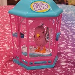 Little Live Pets Bird