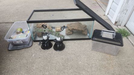 Reptile starter tank