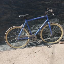Schwinn Bike