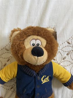 UC Berkeley Bear