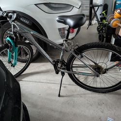 Schwinn 21-Speed Mountain Bike – 26” Wheels - Needs minor fixes - priced to sell