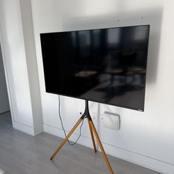 Vizio 55 Inch Tv With Stand 