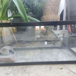 Fish/lizard TANK