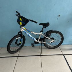Schwinn Smart Start 20