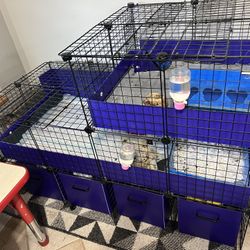 C & C Cage for Guinea Pigs