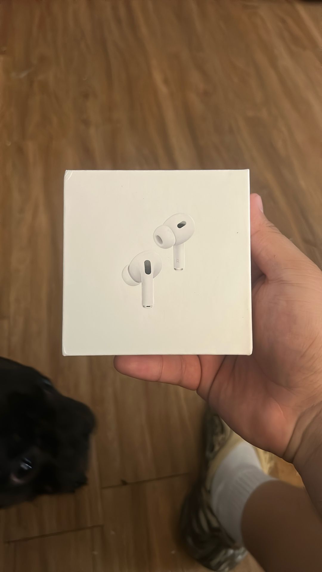Airpod Pro 2