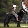 Racehorse